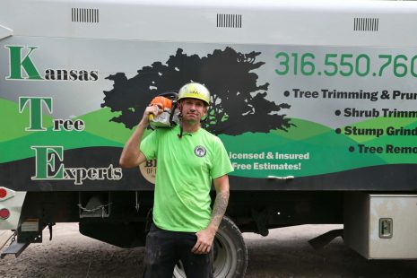 Tree-Trimming-Mistakes-Information-Kansas-Tree-Experts