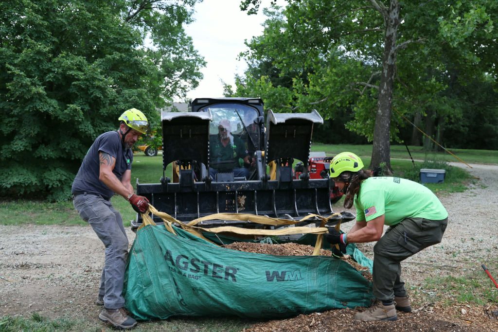 tree-trimming-ks-tree-experts-wichita