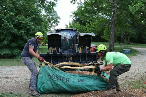tree-trimming-ks-tree-experts-wichita