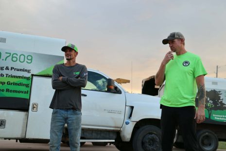 ks-tree-experts-team-wichita