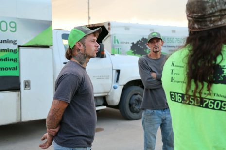 ks-tree-trimming-experts-wichita-ks