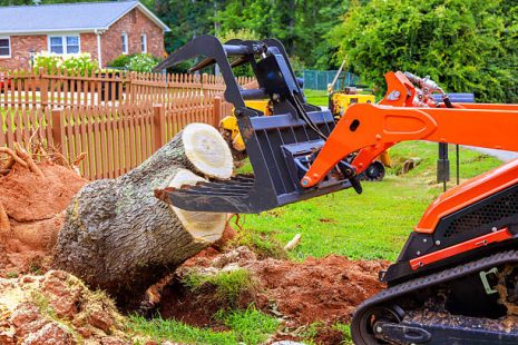 Cheap Stump Grinding