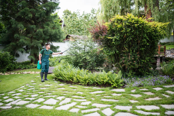 Commercial Tree Service