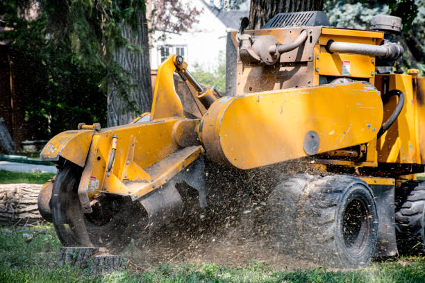 Stump Grinder