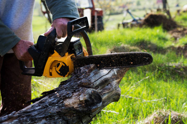 Tree Emergency Services