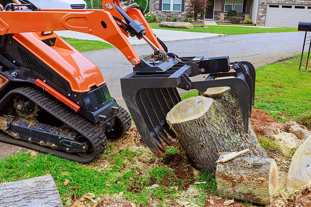 Tree Stump Grinding