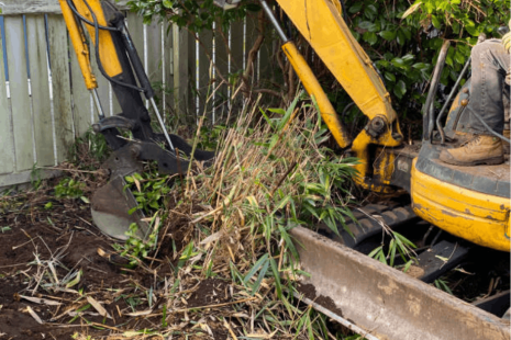 Shrub and Bush Removal: When Is Removal Better Than Trimming?