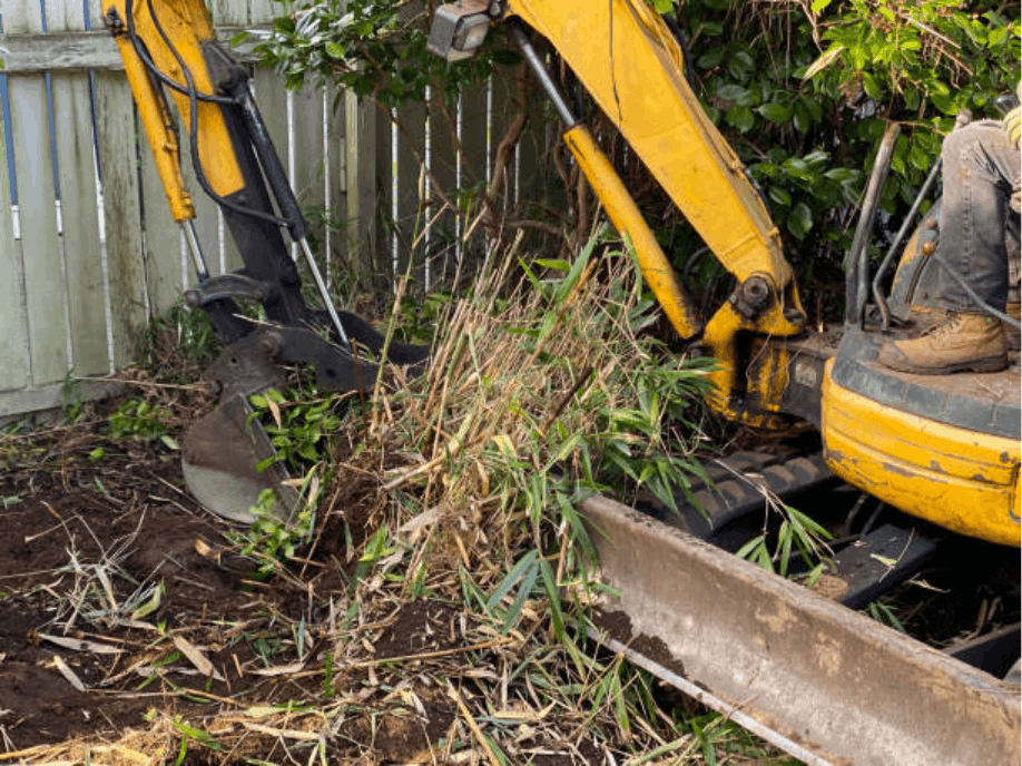 Shrub and Bush Removal: When Is Removal Better Than Trimming?