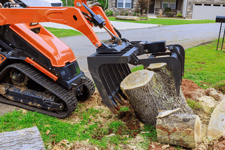Tree Removal Assistance Programs: Options for Homeowners